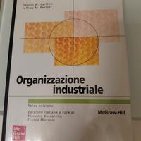 Organizzazione industriale