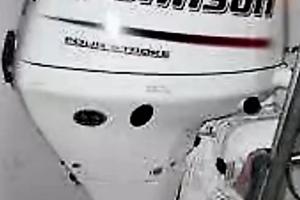 Ricambi Johnson 15cv 4 tempi