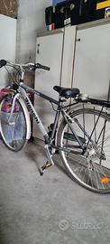 Bicicletta uomo Bianchi Spillo