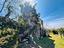 Immagine 15
