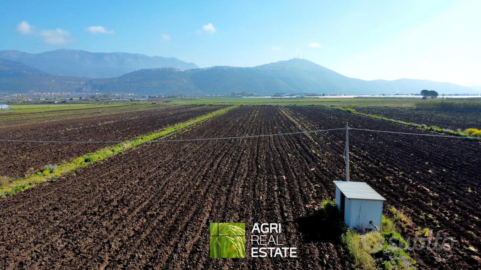 Terreno agricolo 4 ettari fronte strada con pozzo - Altro