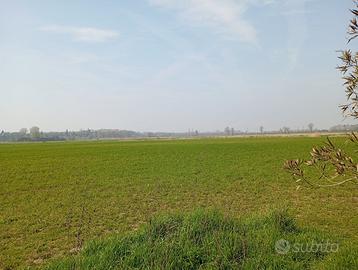 Vendesi terreno agricolo