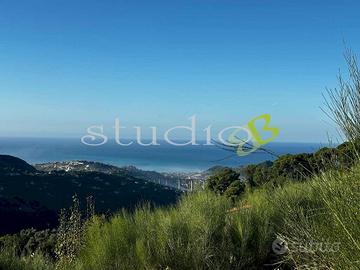 Terreno Edificabile a Vallebona