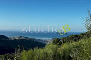 Terreno Edificabile a Vallebona