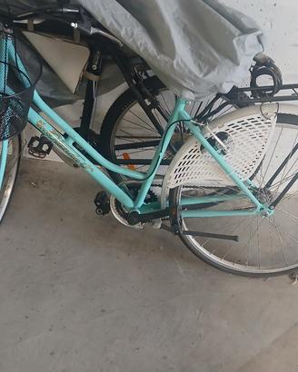 bicicletta holland donna 