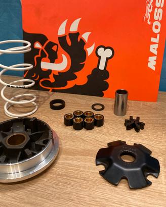 variatore malossi 5111561