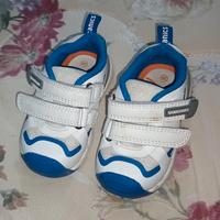 Scarpine Biomecanics