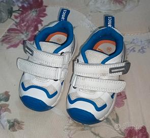 Scarpine Biomecanics