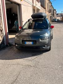 Citroen  c4  cactus