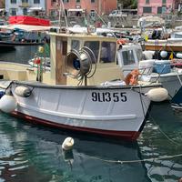 Barca da pesca con licenza