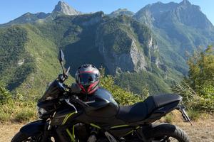 Kawasaki Z 650 - 2018