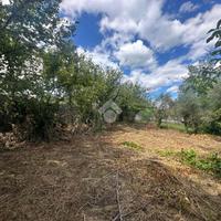 TER. RESIDENZIALE A CAPRIGLIA IRPINA