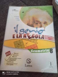 il genio e la regola