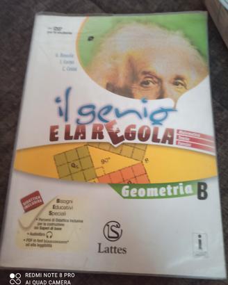 il genio e la regola