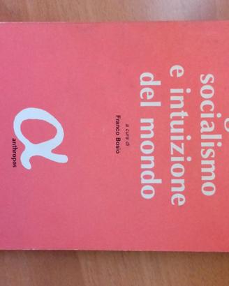 Borghesia e Socialismo