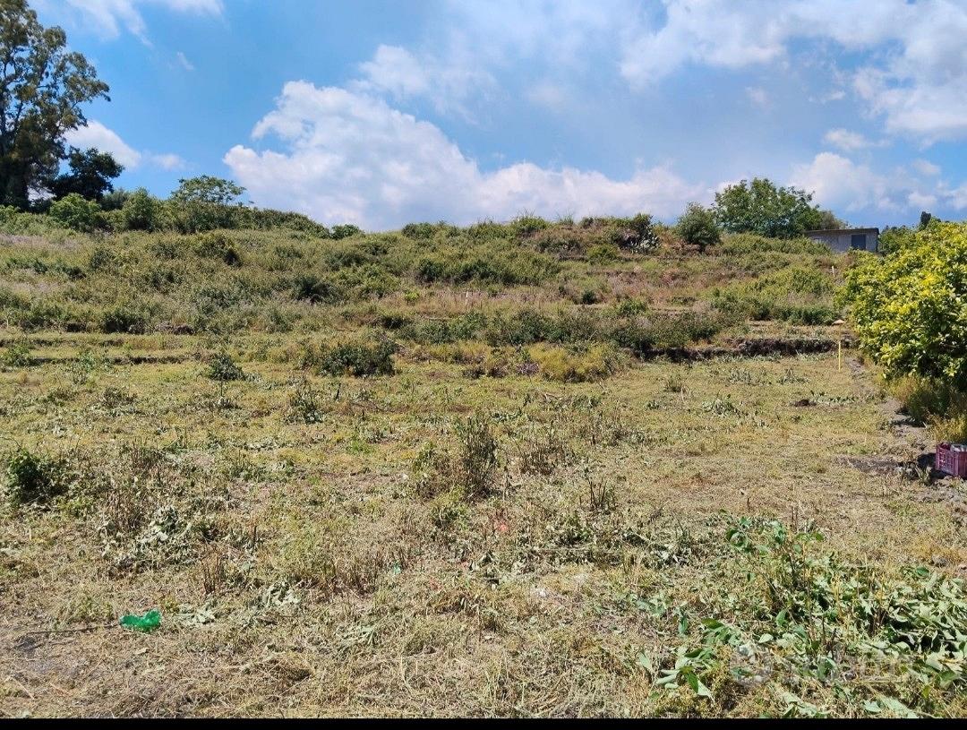 Terreno agricolo di 5050 m² - Vista 5