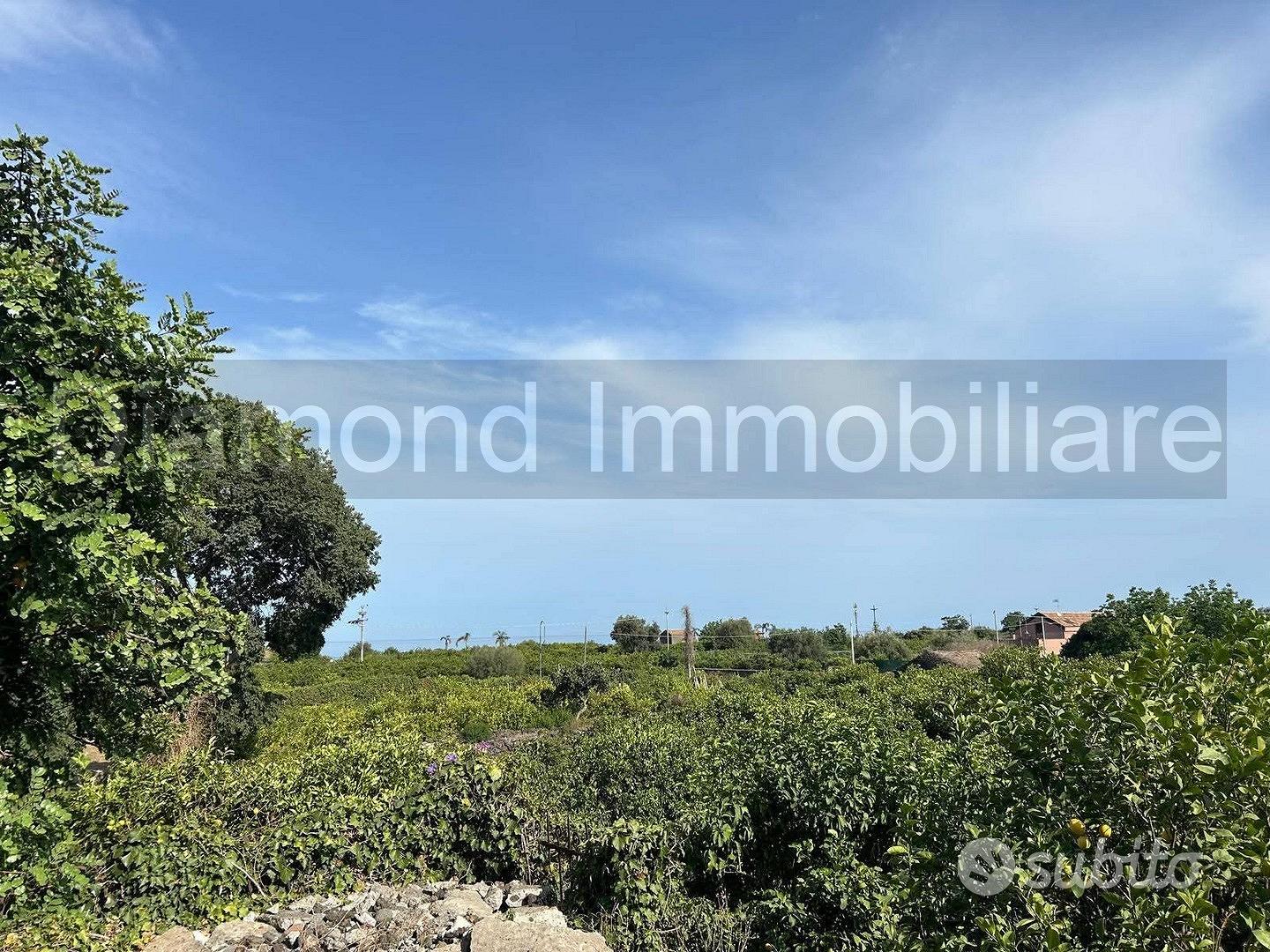 Limoneto con rustico a Pozzillo - Acireale - Vista 4