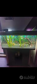  Acquario completo di filtro e accessori+ mobile 