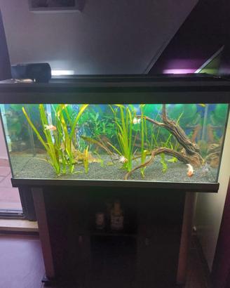  Acquario completo di filtro e accessori+ mobile 