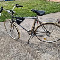 Bici da uomo modello Wild mod. sportivo