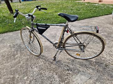 Bici da uomo modello Wild mod. sportivo