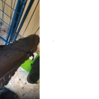 scarpe scarpette scarpini calcio calcetto futsal 5