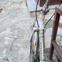 Bici Pieghevole
