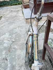 Bici Pieghevole