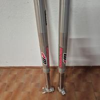 forcelle wp cartuccia chiusa