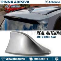 Antenna PINNA SQUALO per SUZUKI GRIGIA VERO SEGNAL