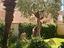 Immagine 8