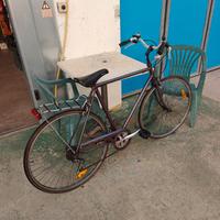 bicicletta sciamano vintage