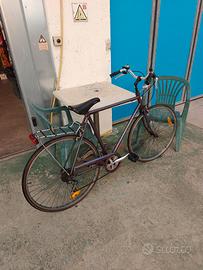 bicicletta sciamano vintage