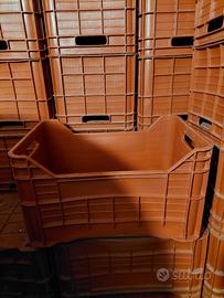 40 Cassette in plastica da 40 Lt per ortofrutta