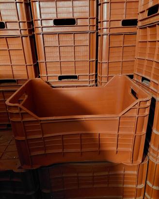40 Cassette in plastica da 40 Lt per ortofrutta