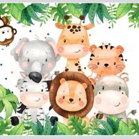 Sfondo backdrop telo