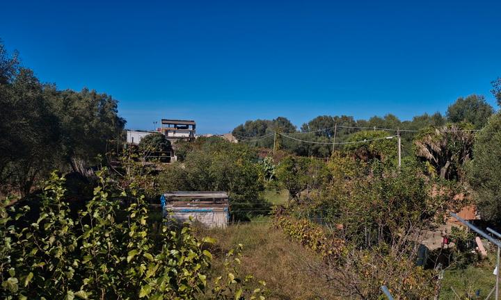 Terreno 1450mq recintato