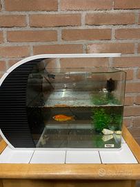 Acquario come nuovo