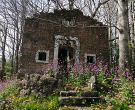 Rudere a 600 mt da Santa Fiora (monte Amiata)