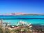 Immagine 20