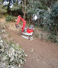 miniescavatore 