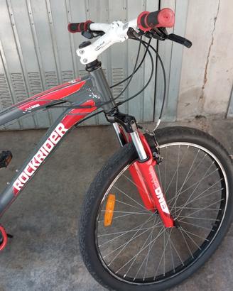 bicicletta 