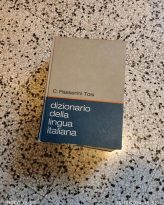 Dizionario italiano