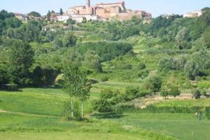Terreno di 70000 m² a Casciana Terme Lari