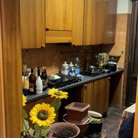 Cucina in vero legno con piano cottura e lavello