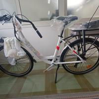 Bicicletta elettrica a pedalata assistita