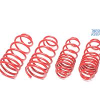 KIT MOLLE SPORTIVI PER FIAT