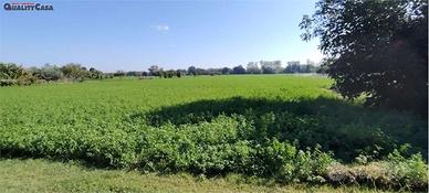Terreno Agricolo a Chiaravalle