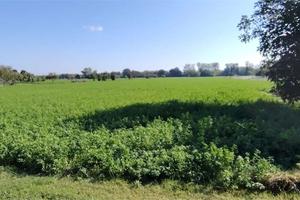 Terreno Agricolo a Chiaravalle