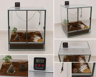 Terrario in vetro 65x45x45 completo di setup